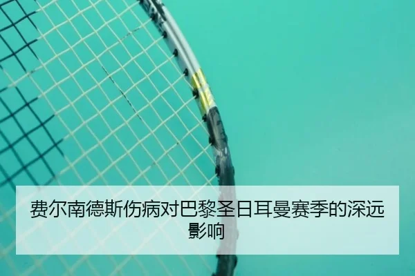 费尔南德斯伤病对巴黎圣日耳曼赛季的深远影响